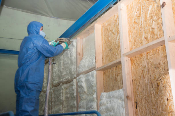 Best Home Insulation Services  in Commercial Point, OH