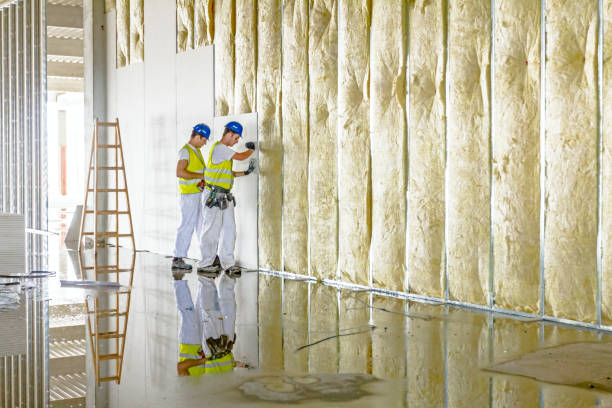 Best Insulation Removal  in Commercial Point, OH